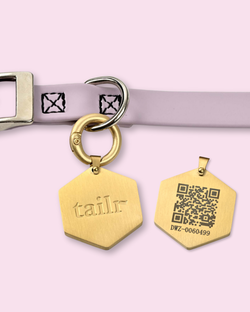 Tailr QR ID Tag for Pets Classic Hanging Tag