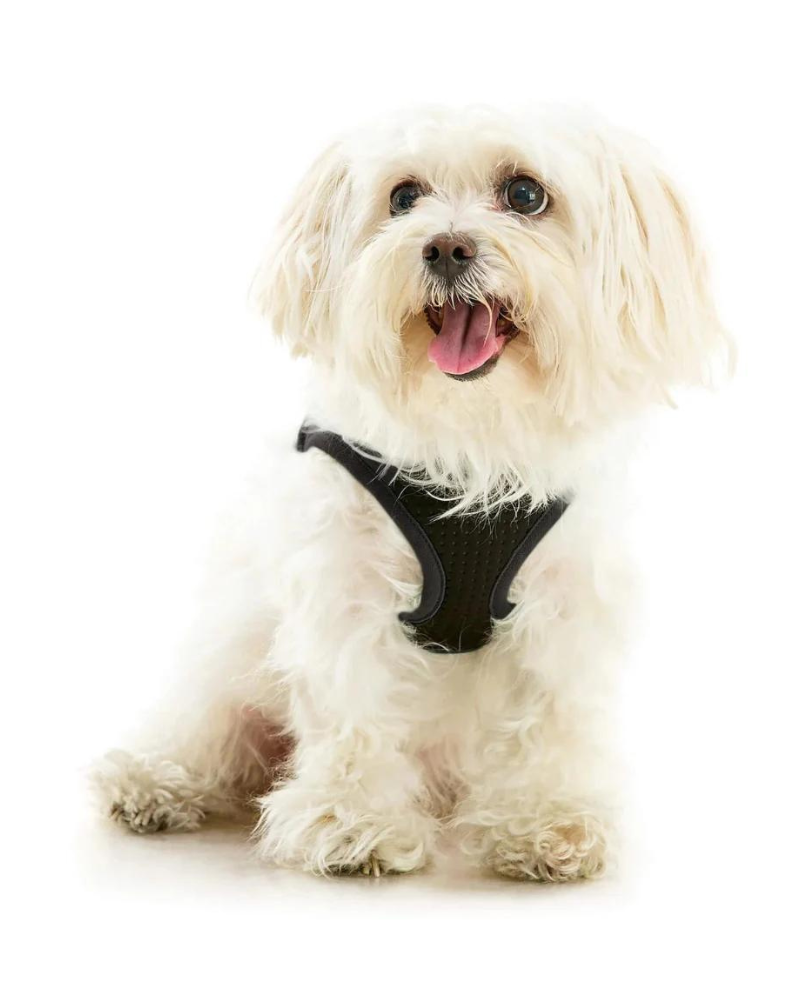 Escape Free Easy Fit Plus Dog Harness DOG CO