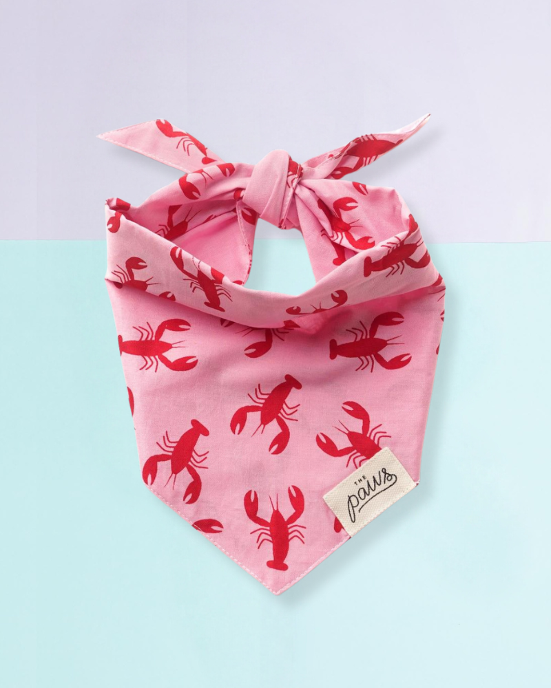 Frye Island Lobster Dog Bandana FINAL SALE