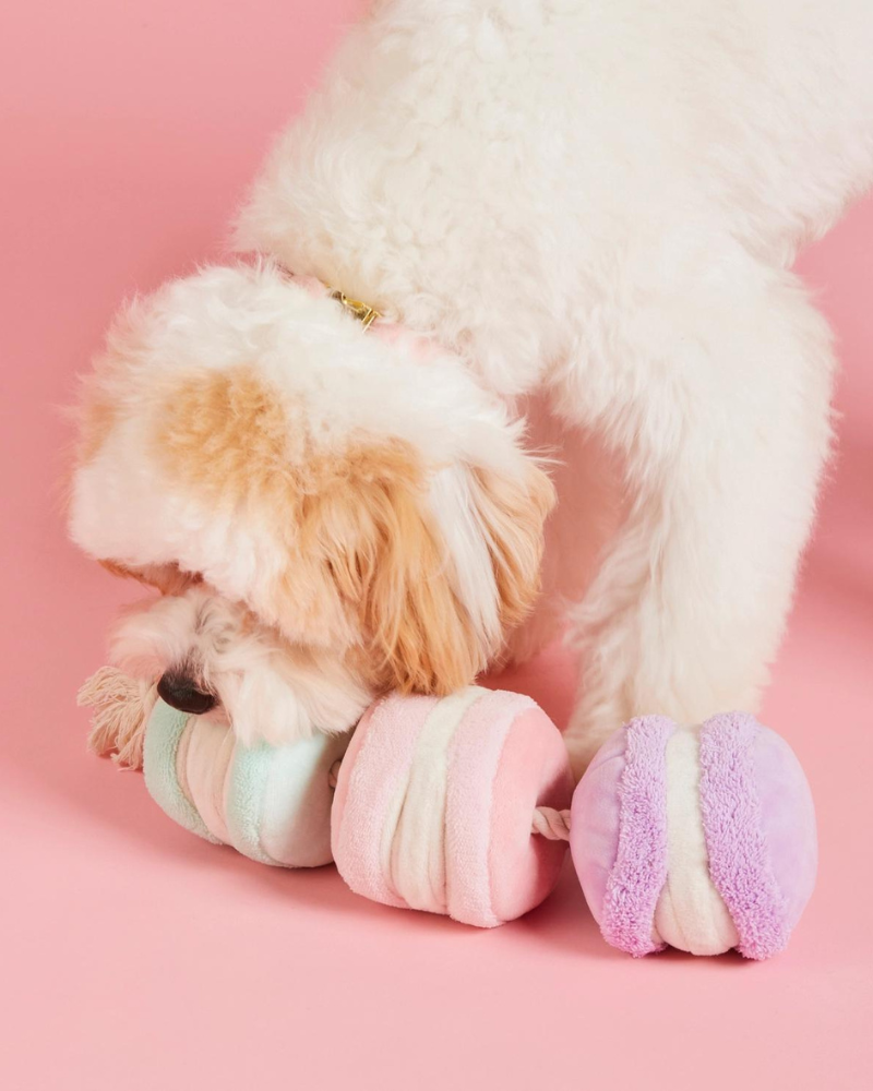 THE FOGGY DOG, Macarons Snuffle Dog Toy