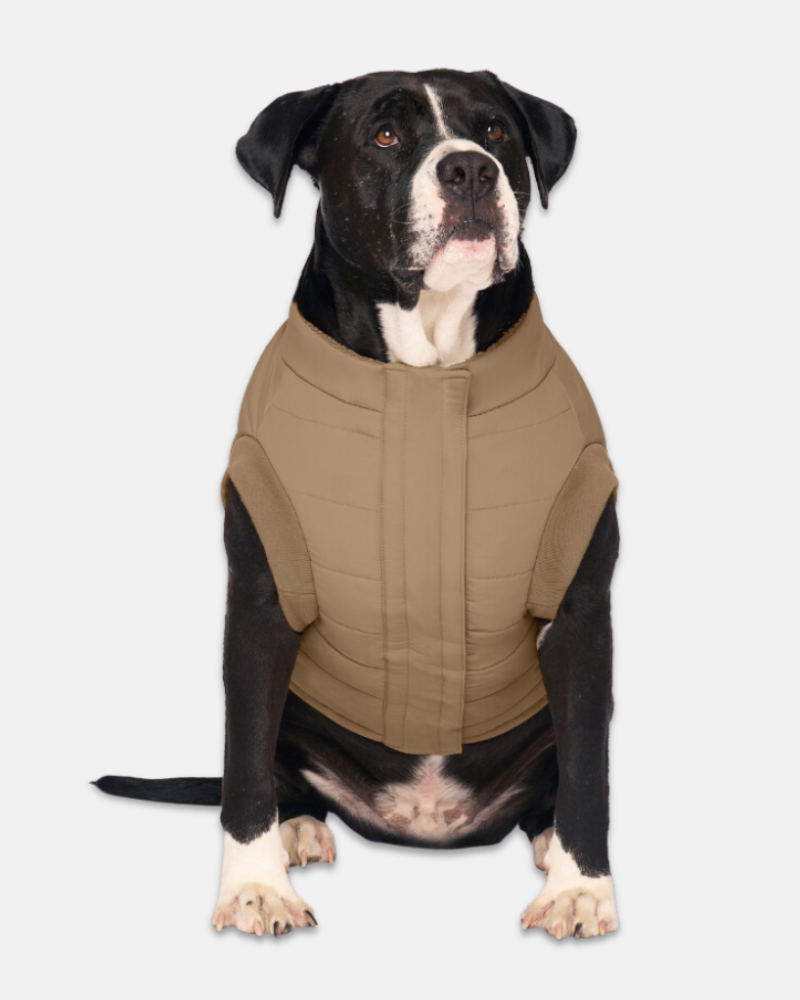 Canada pooch fashion coat