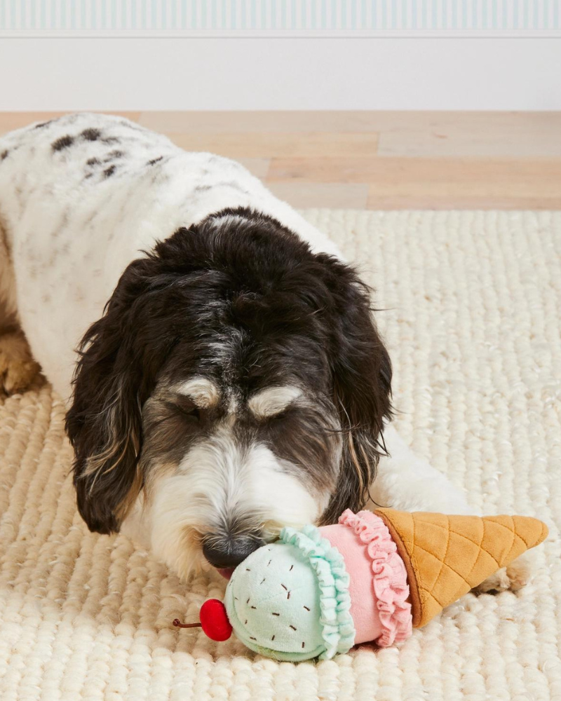 Ice Cream Snuffle Ball Dog Toys, Snuffle Ball , Interactive