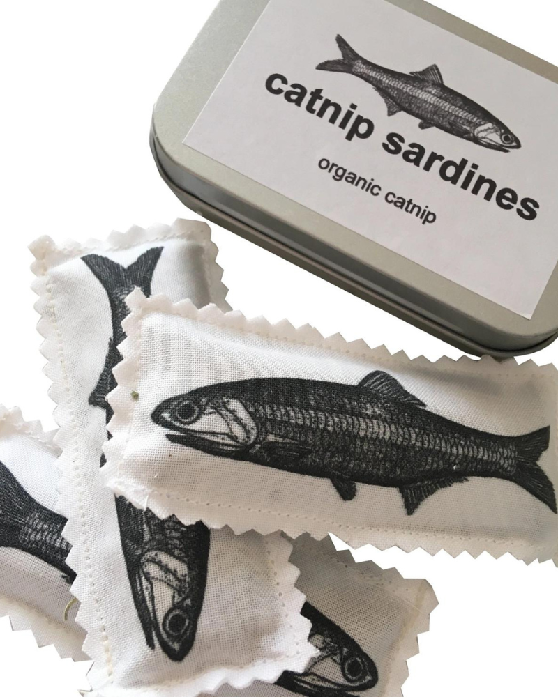 Catnip sardines best sale