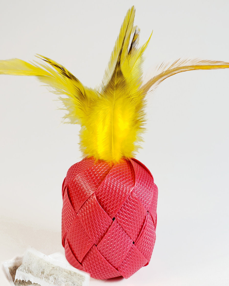 Pineapple cat toy best sale