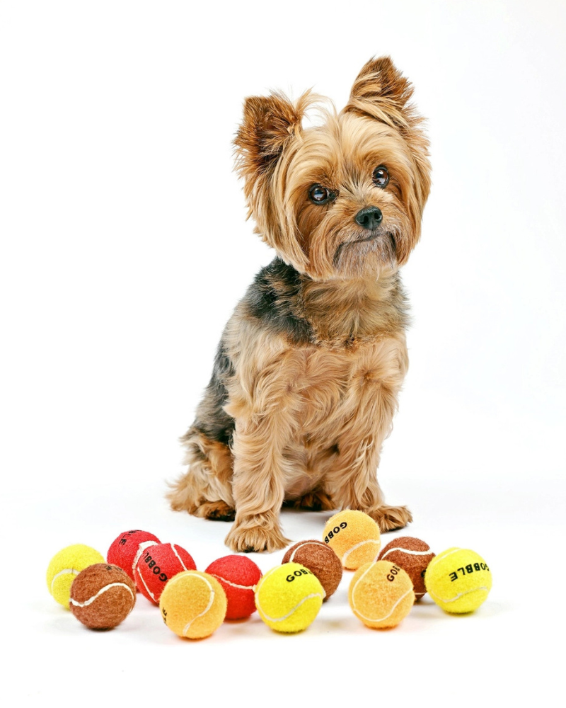 Small balls for fashion small dogs