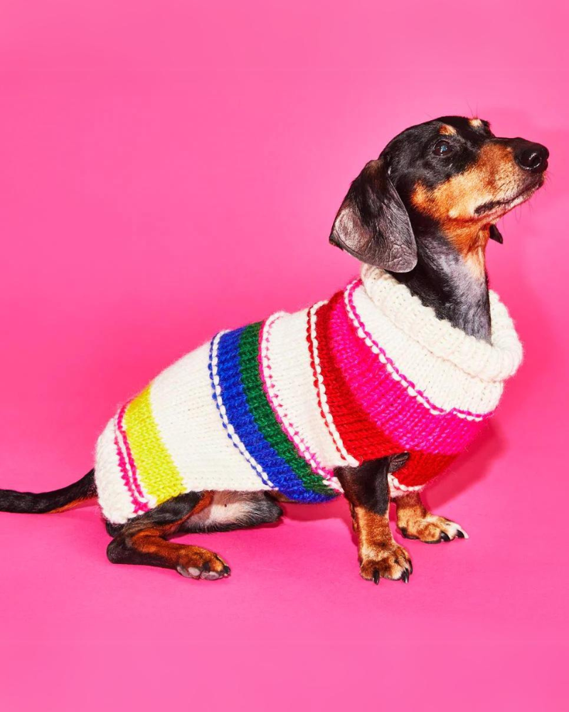 Neon Stripe Wool Dog Sweater FINAL SALE