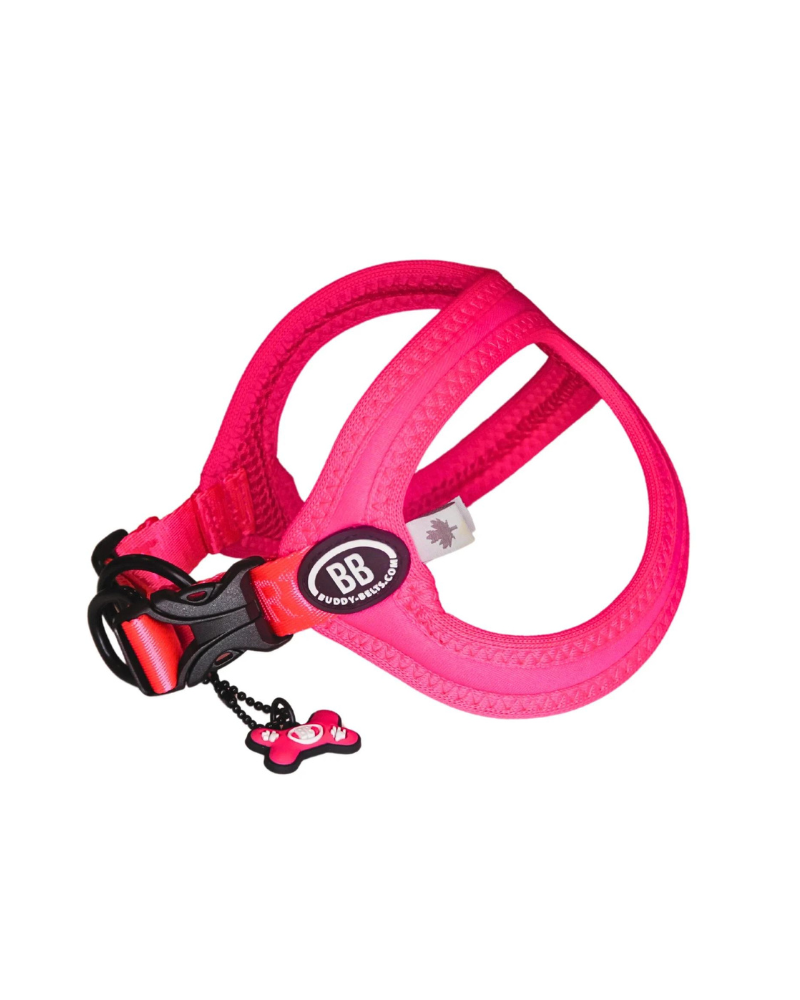 Buddy Belt Sport Harness for Dogs in Neon Pink