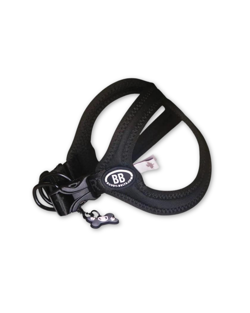 Buddy Belt Sport Harness for Dogs in Black