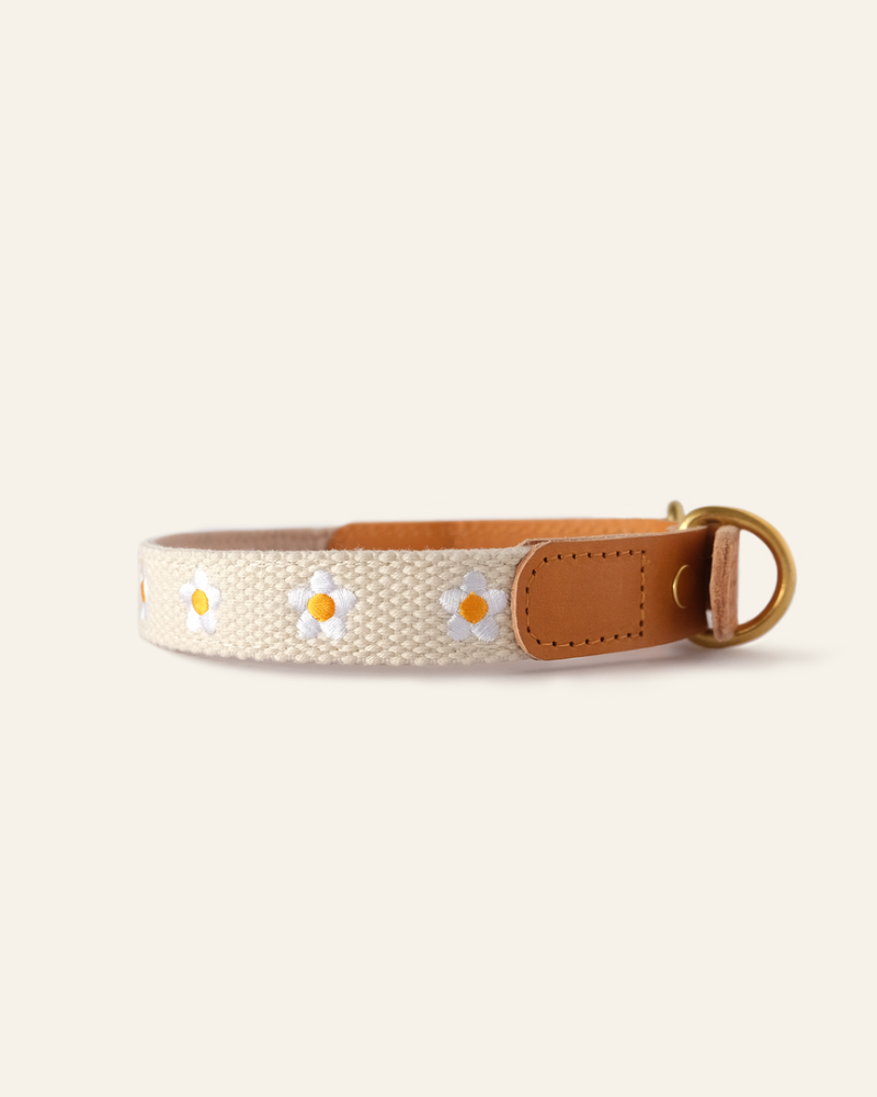 Cotton Leather Daisy Dog Collar