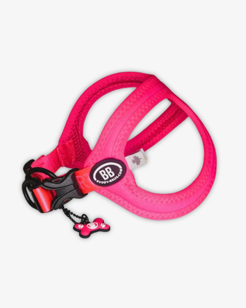 Buddy belt harness best sale