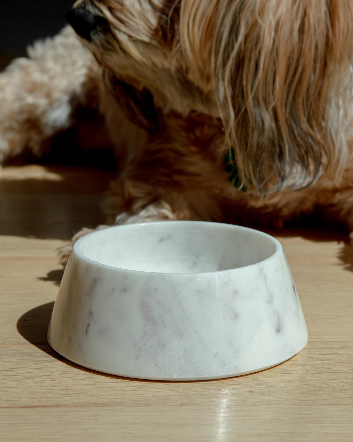 Lisbon Marble Pet Bowl - Designer Dog Bowls and Ceramic Pet Dishes