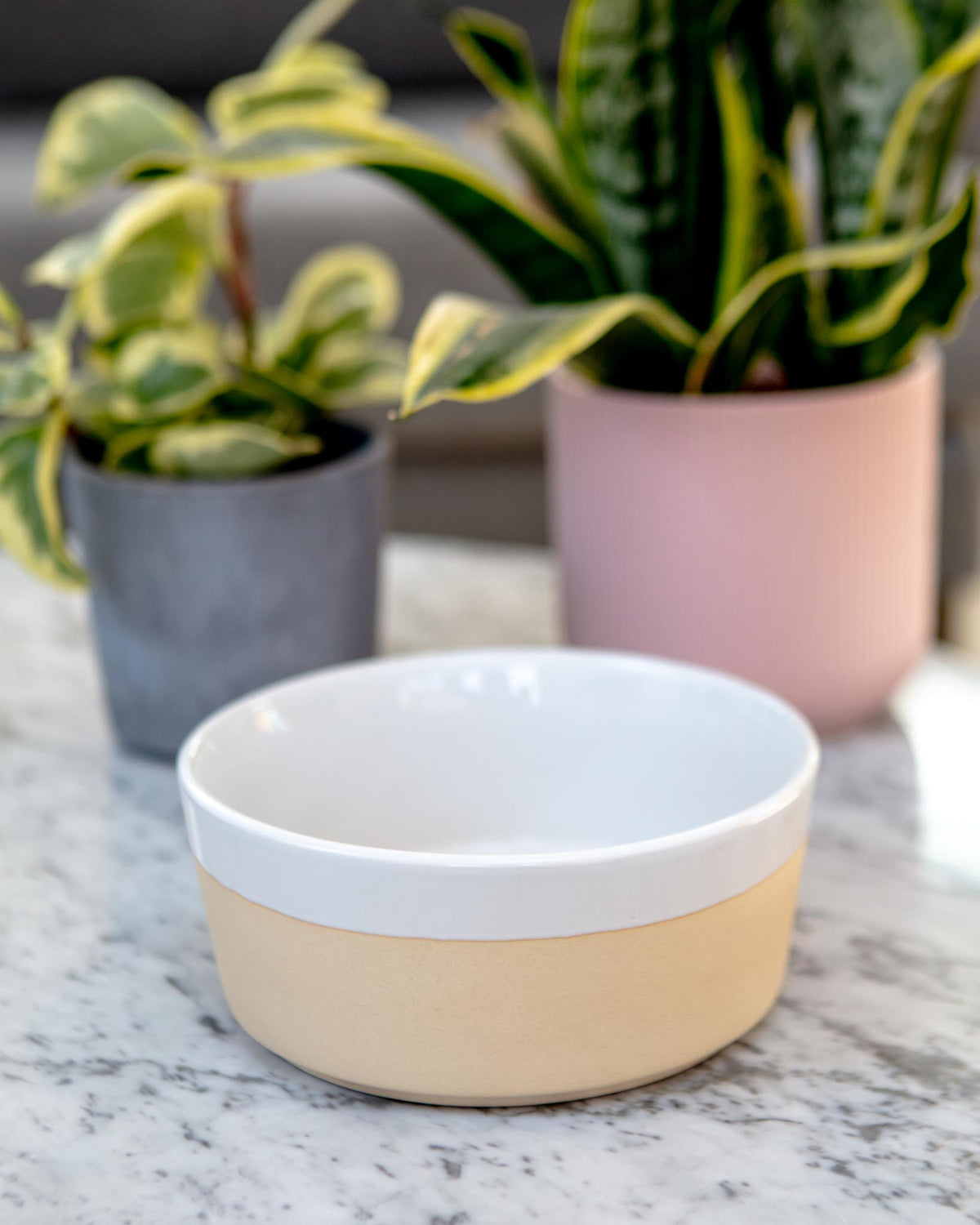 Modern Ceramic Dog Bowls from KIND