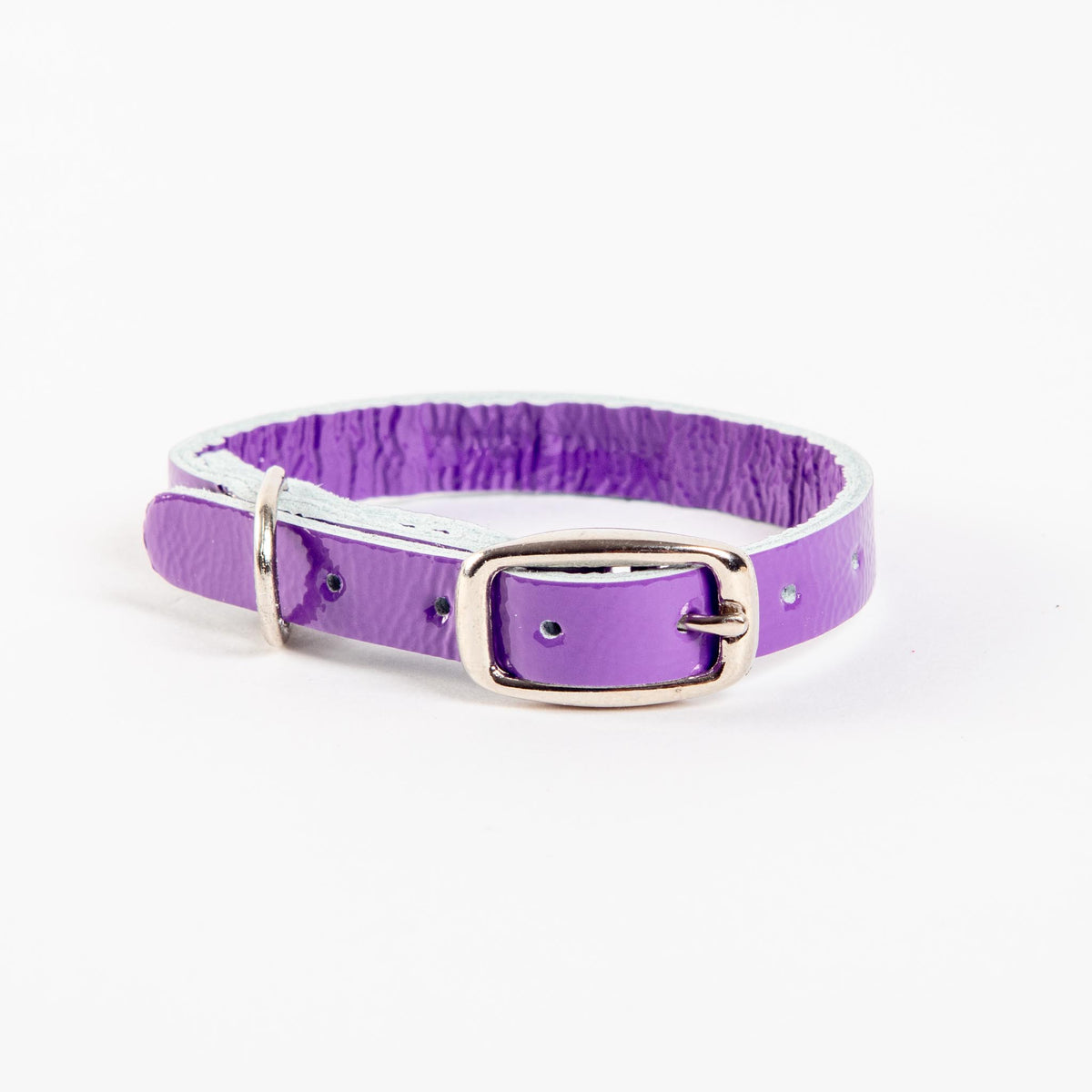 Cleo shop shop dog harness