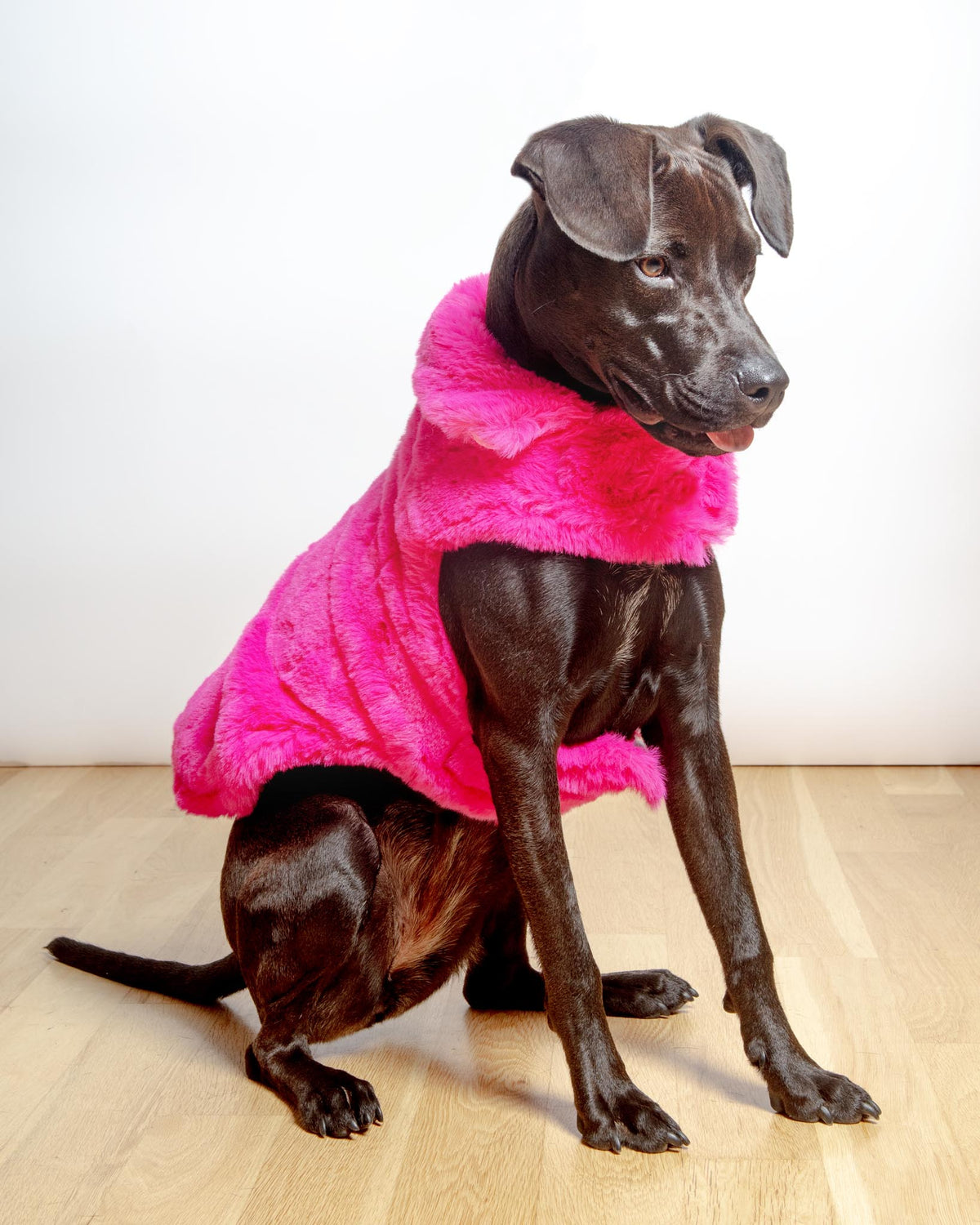 Faux Fur Dog Coat in Neon Pink FINAL SALE