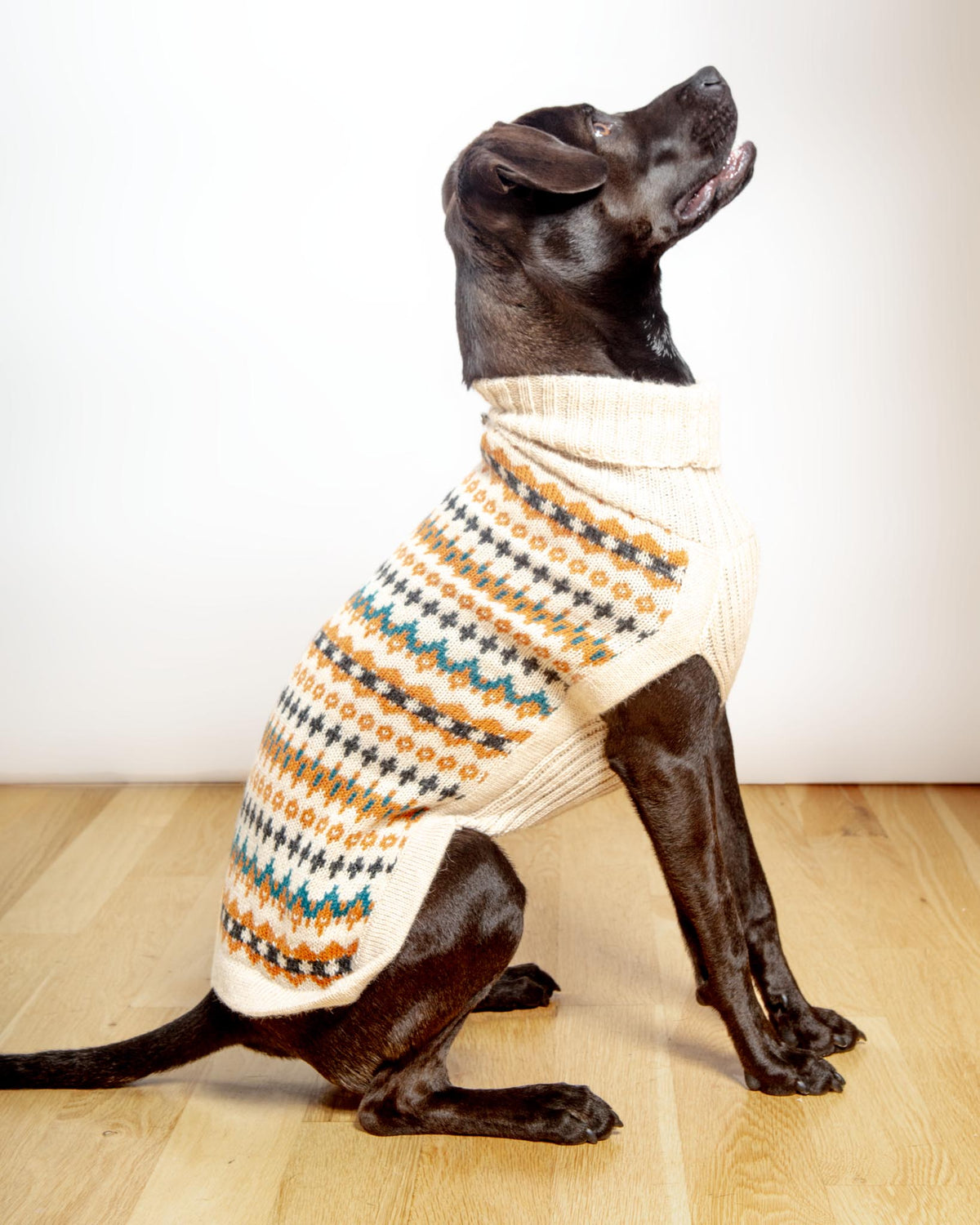 ALQO WASI Golden Dreams Alpaca Dog Sweater DOG CO