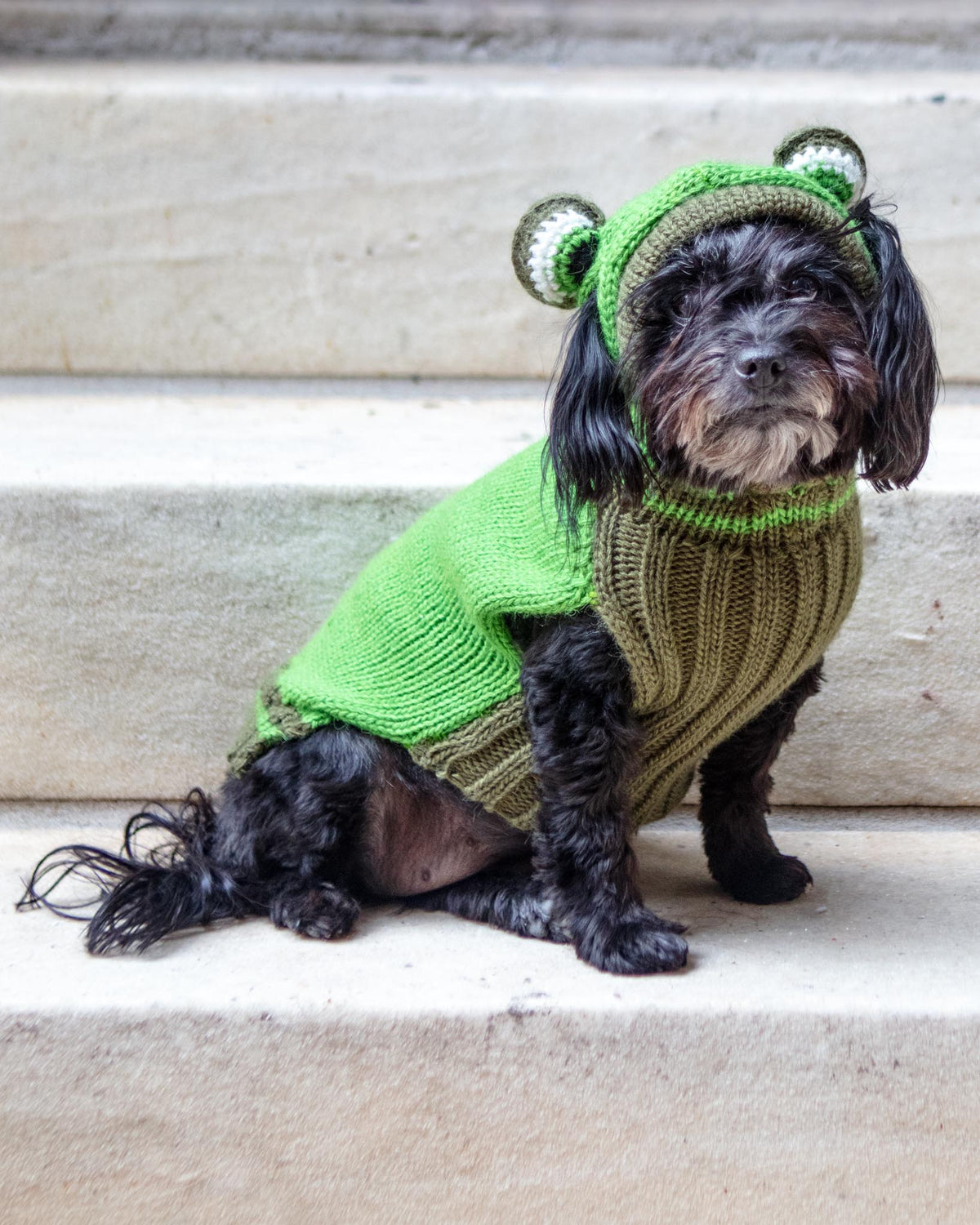 Hand knitted outlet dog sweaters