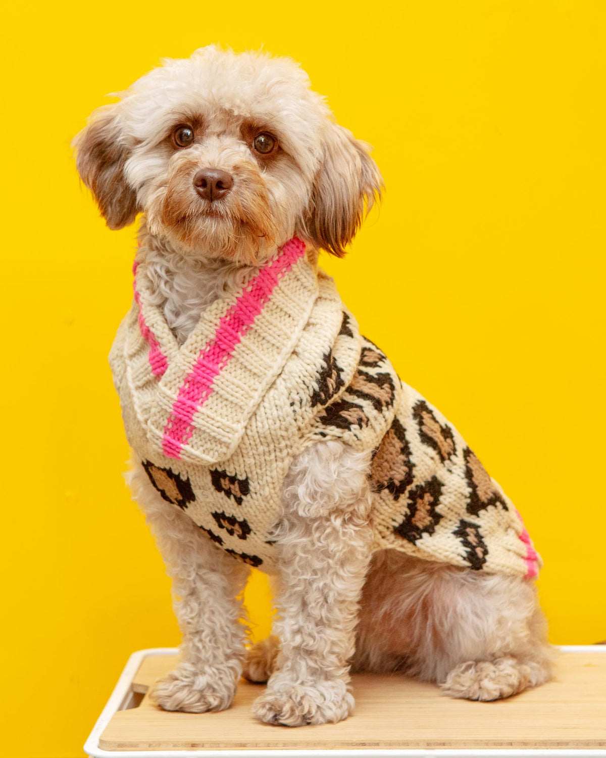 Leopard dog outlet sweater