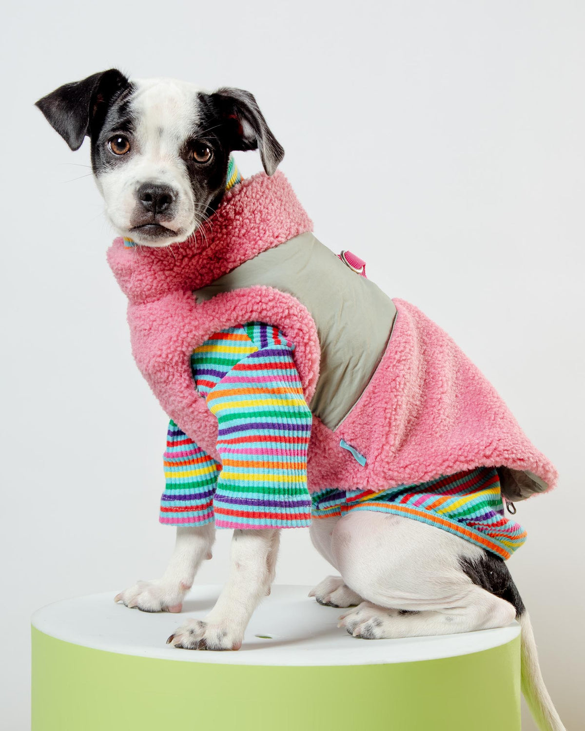 Dog sweater with built in clearance harness