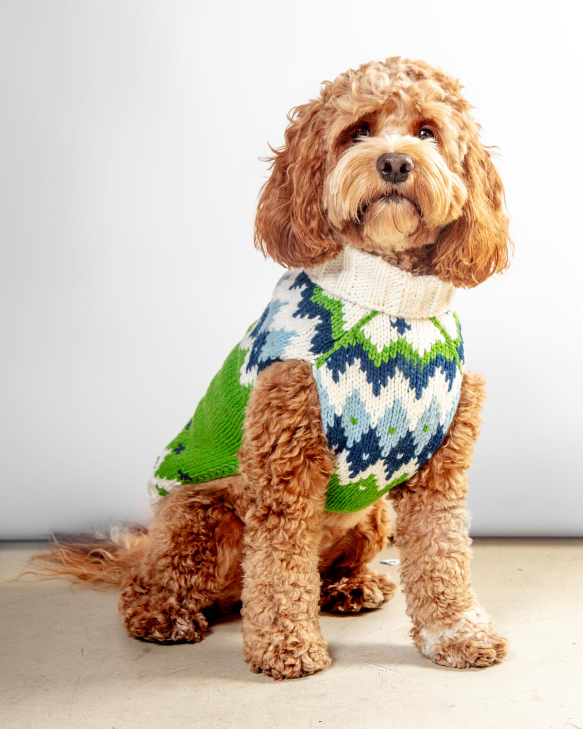CHILLY DOG, Ski Bum Dog Sweater in Green
