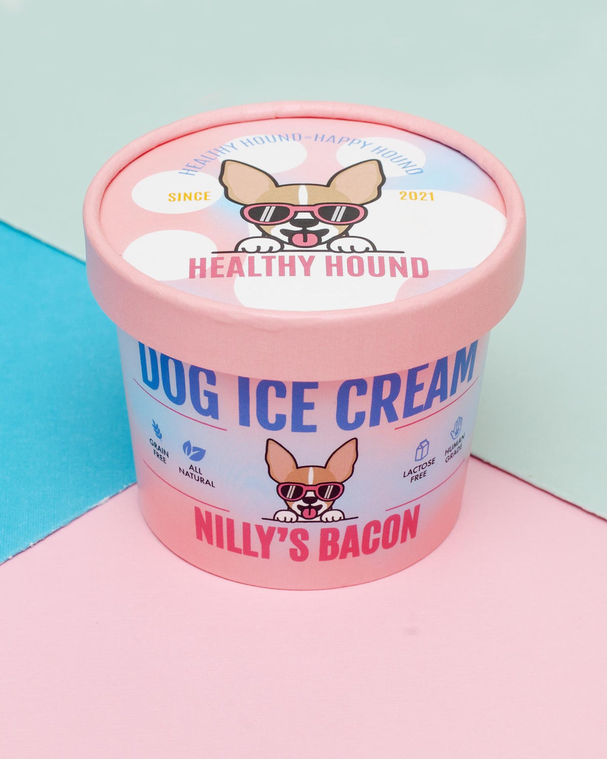 Lactose free ice cream for clearance dogs