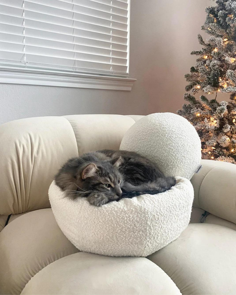 Luxury fashion cat bed