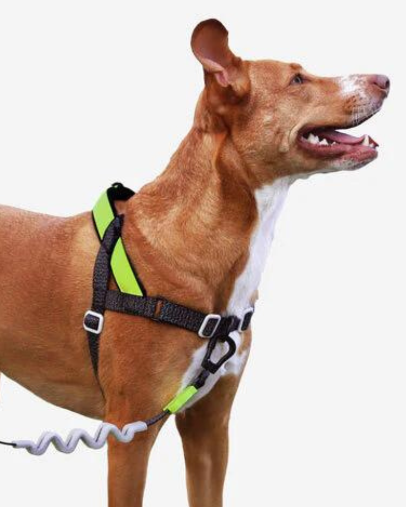 New all in one no pull dog harness hotsell