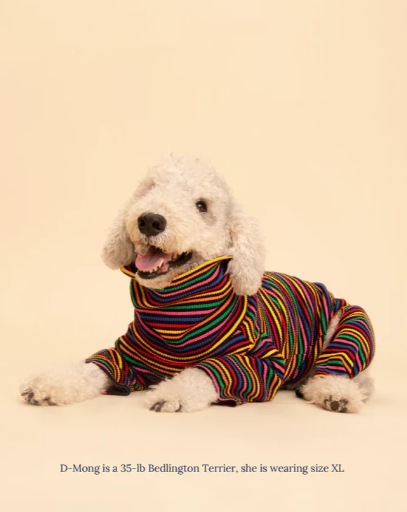 Fantastic Ribbed Dog Onesie