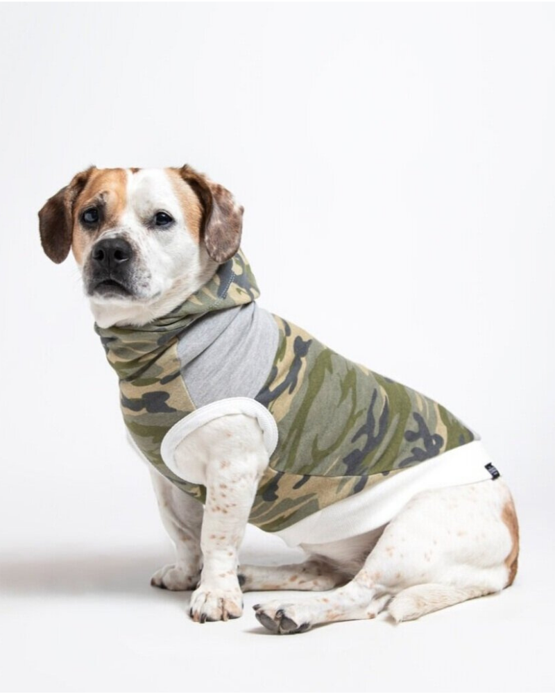 LONG DOG CLOTHING The Cadet Cotton Camo Hoodie for Long Dogs Made in the USA DOG CO