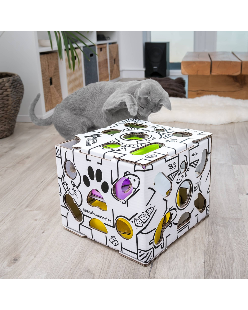 Cat Treat Maze