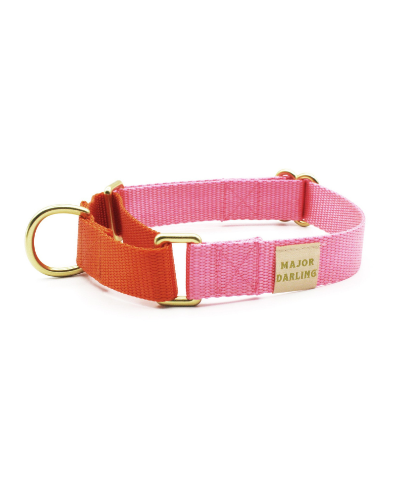 Orange martingale collar hotsell