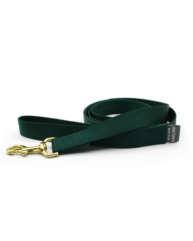 Nylon Leash