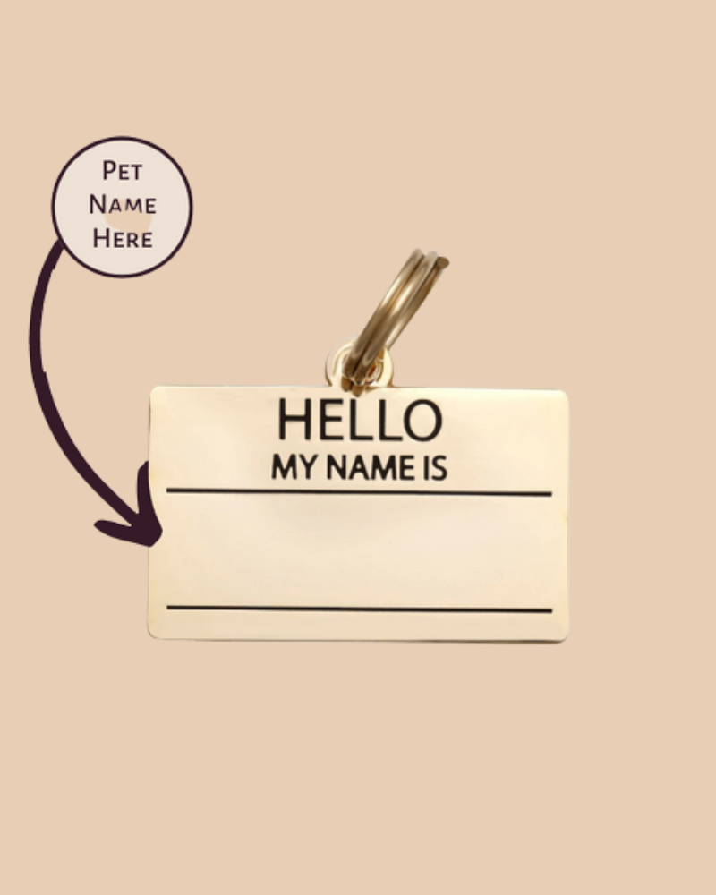 Hello My Name is Pet ID Tag