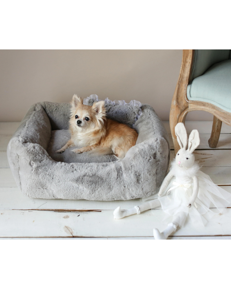 Custom bed with dog clearance bed