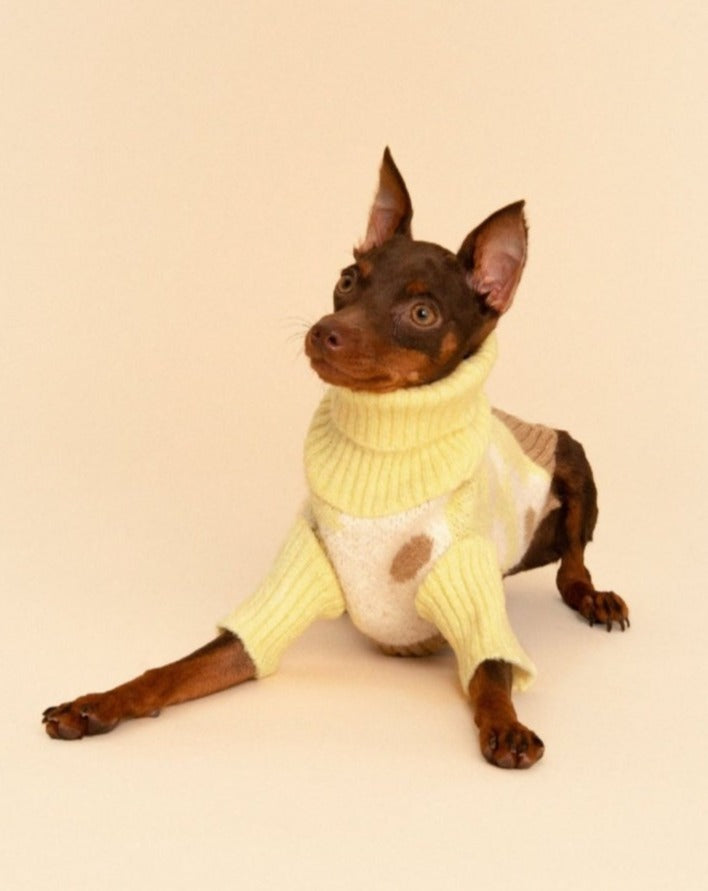 Dog Clothes & Apparel by Little Beast