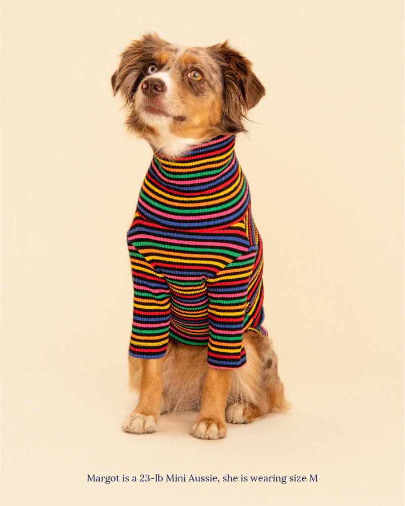 Fantastic Ribbed Dog Pullover (FINAL SALE)