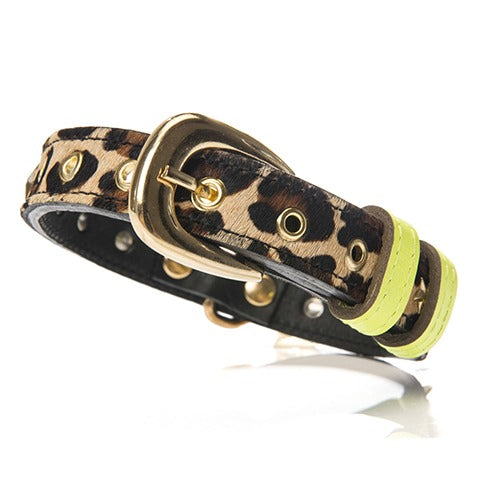 CHACO Collar in Leopard DOG CO