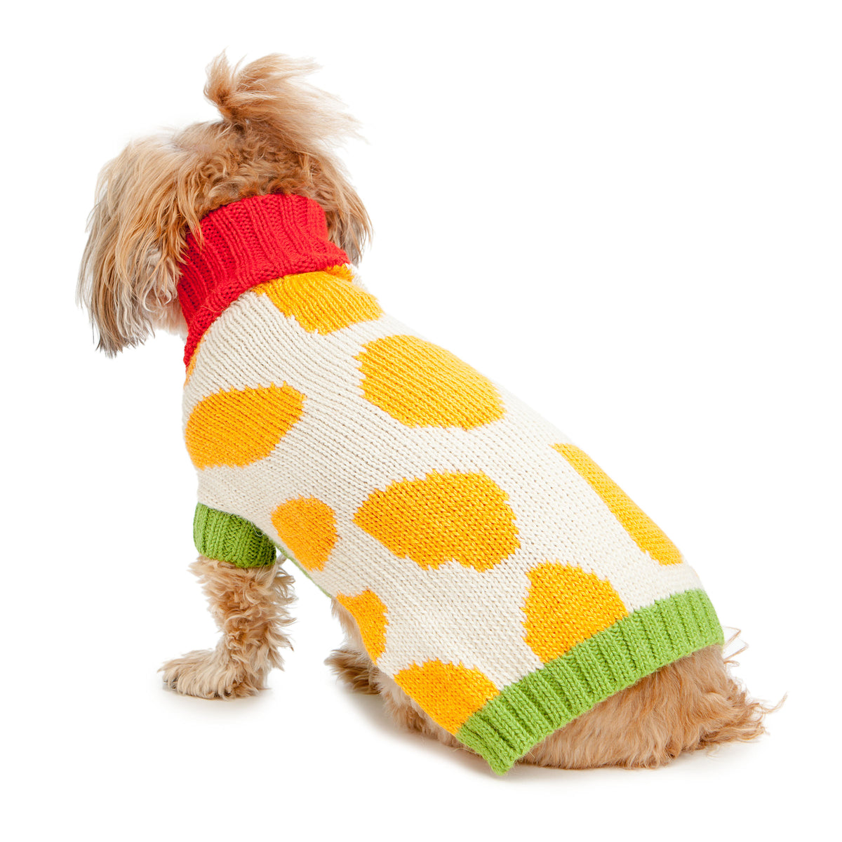 Designer Inspired dog jumper