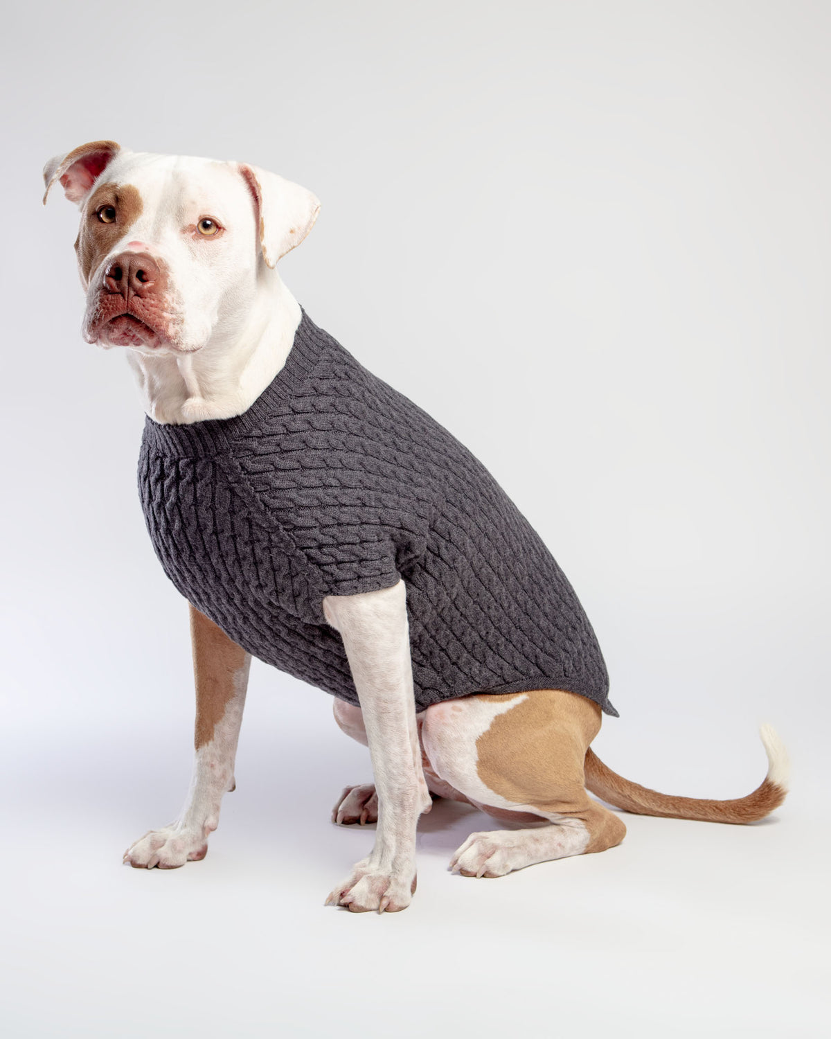 Ugg cable shop knit dog sweater