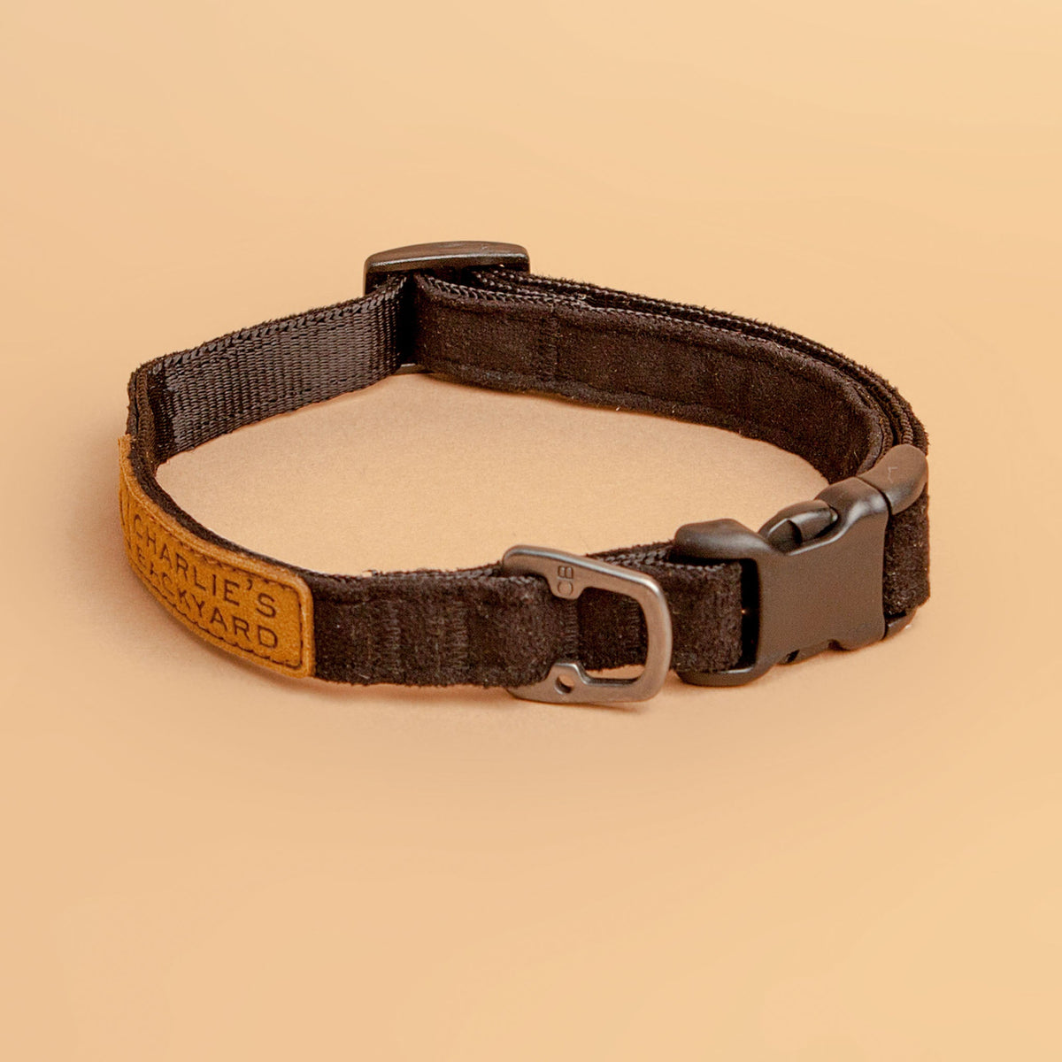 Simple 2025 dog collar