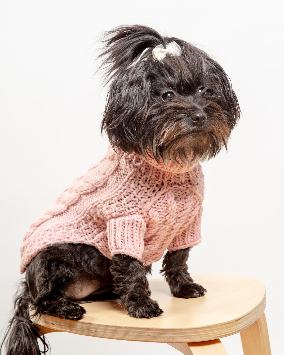 Hand Knit Peanut Butter Dog Toy