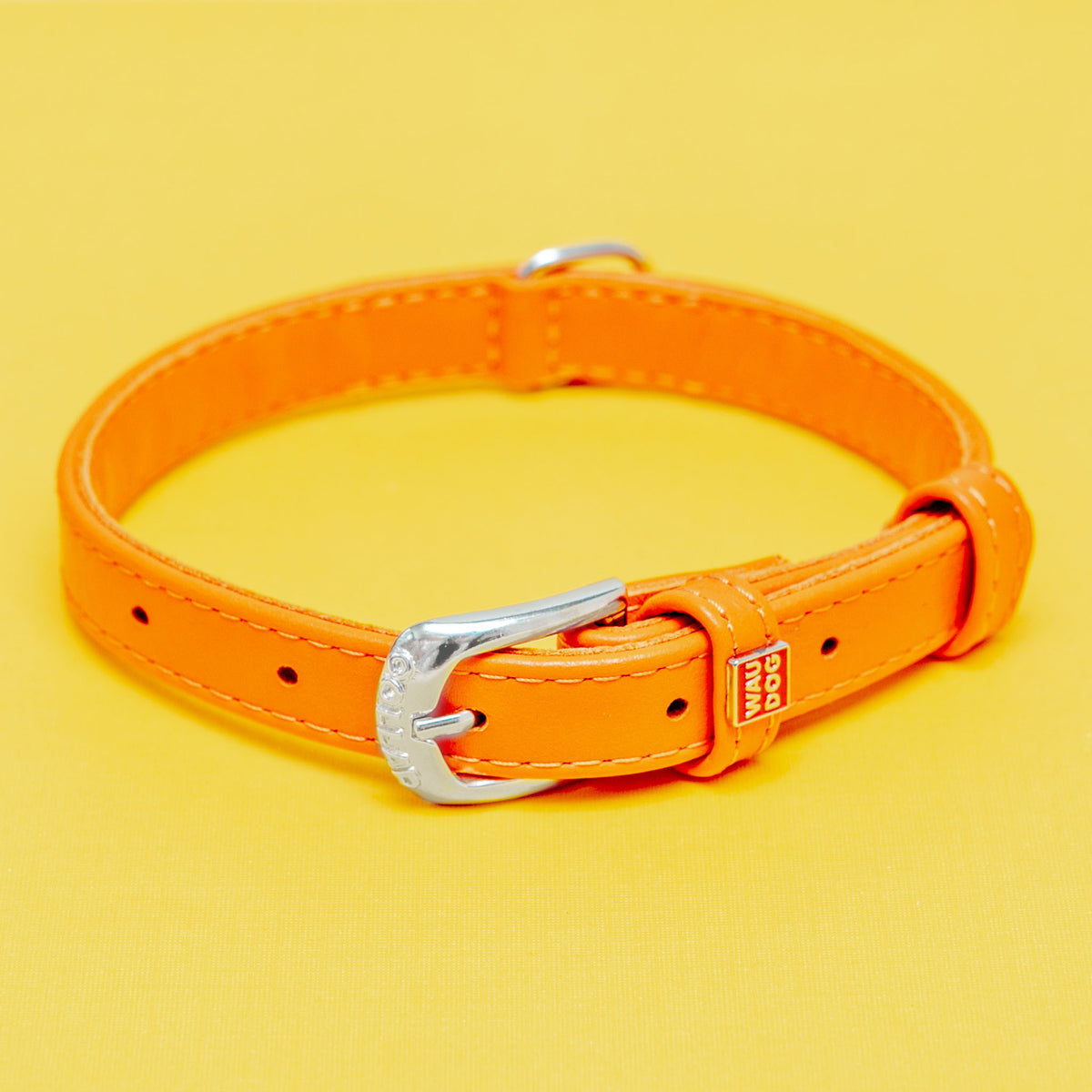 Clearance hotsell dog collars