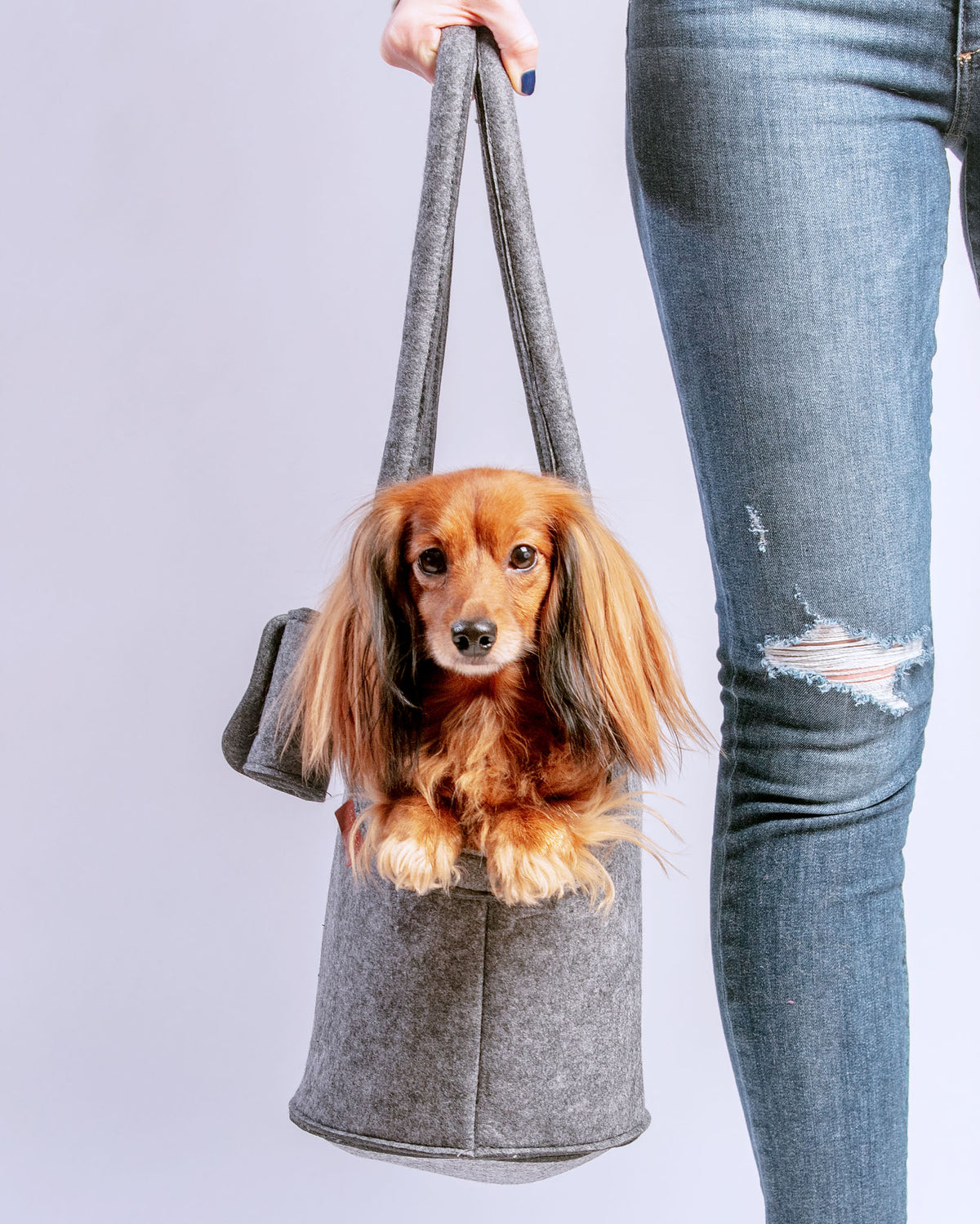 LV backpack for dog 513# - Dog Designer Shop