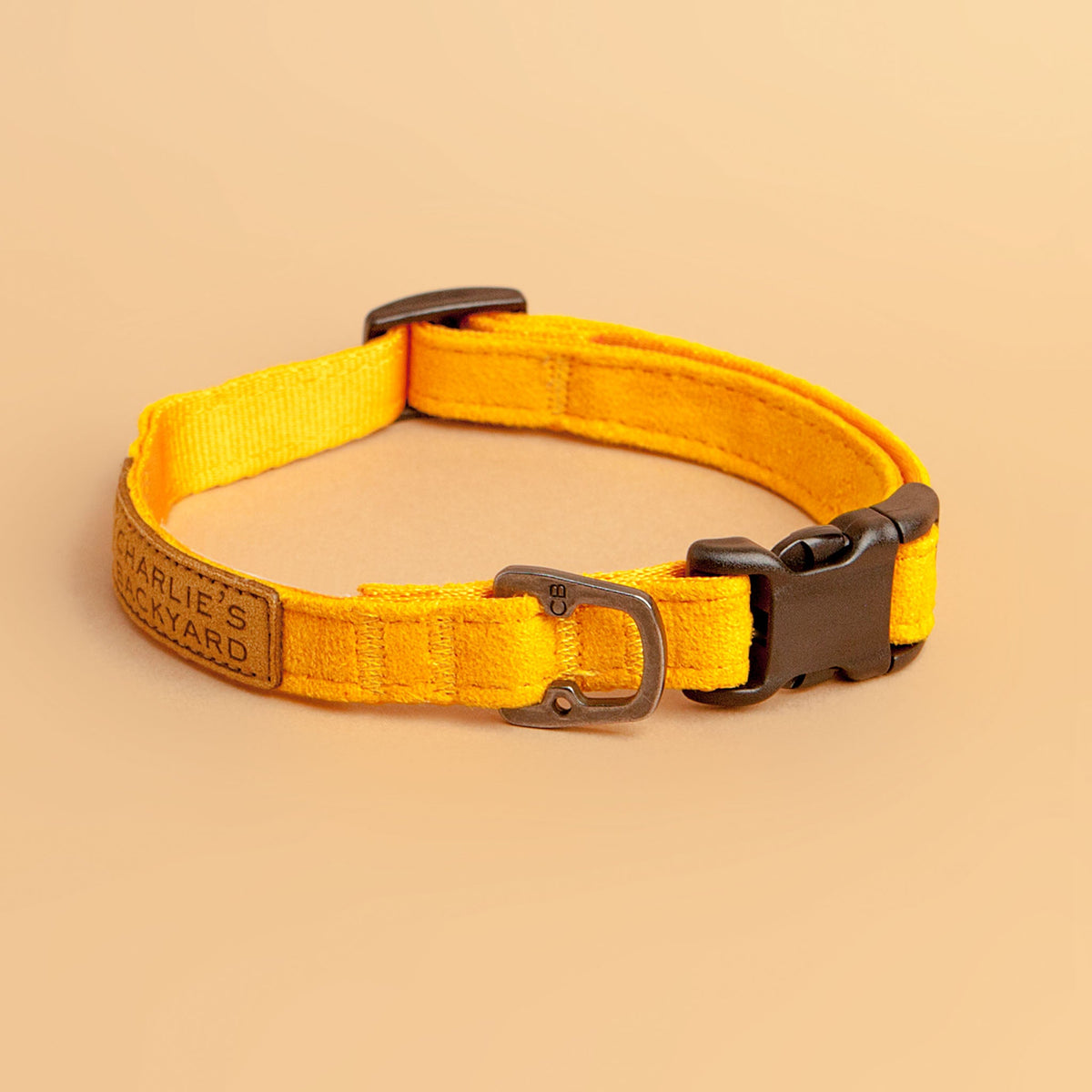 Simple best sale dog collar