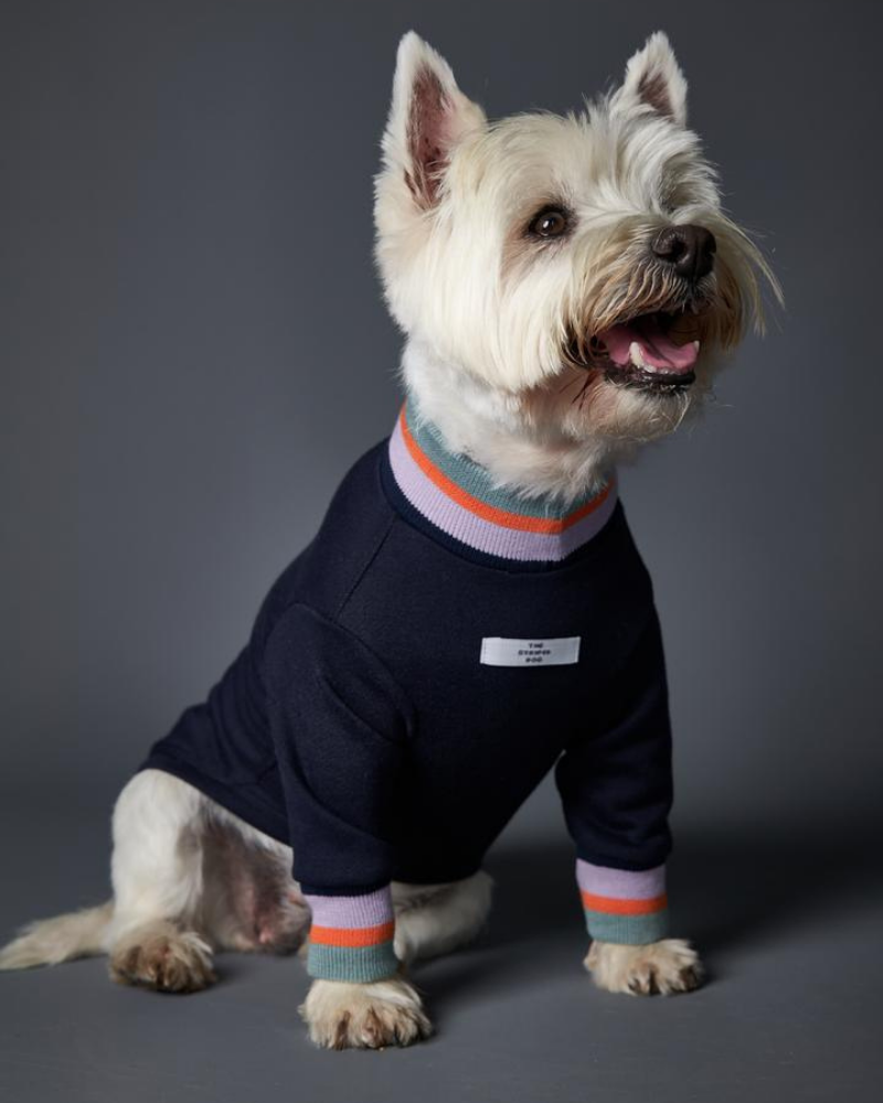 Lakewood Navy Pullover Dog Sweater With Striped Neckline Cuffs CLEARANCE