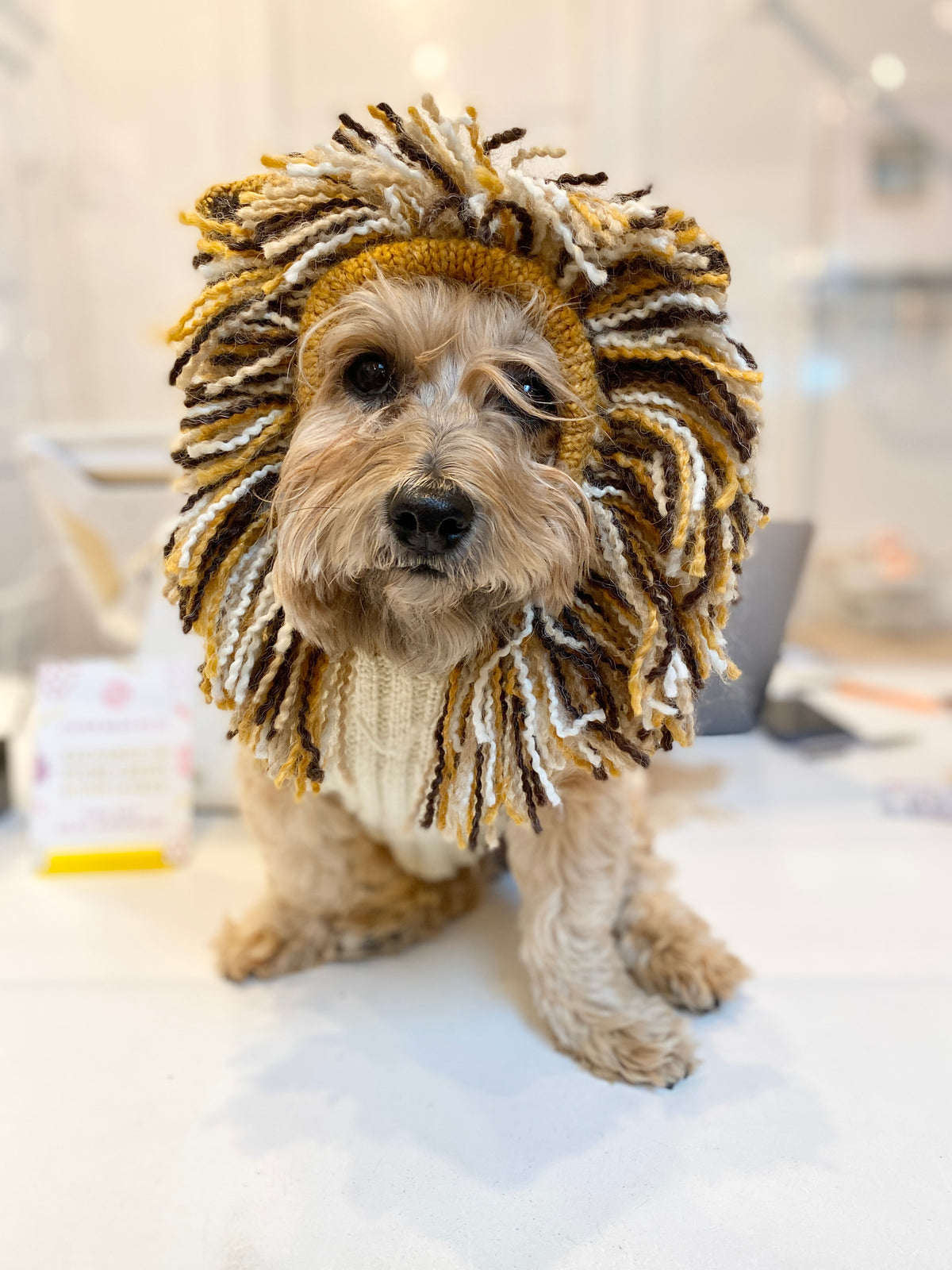 Hand knit shop dog sweaters