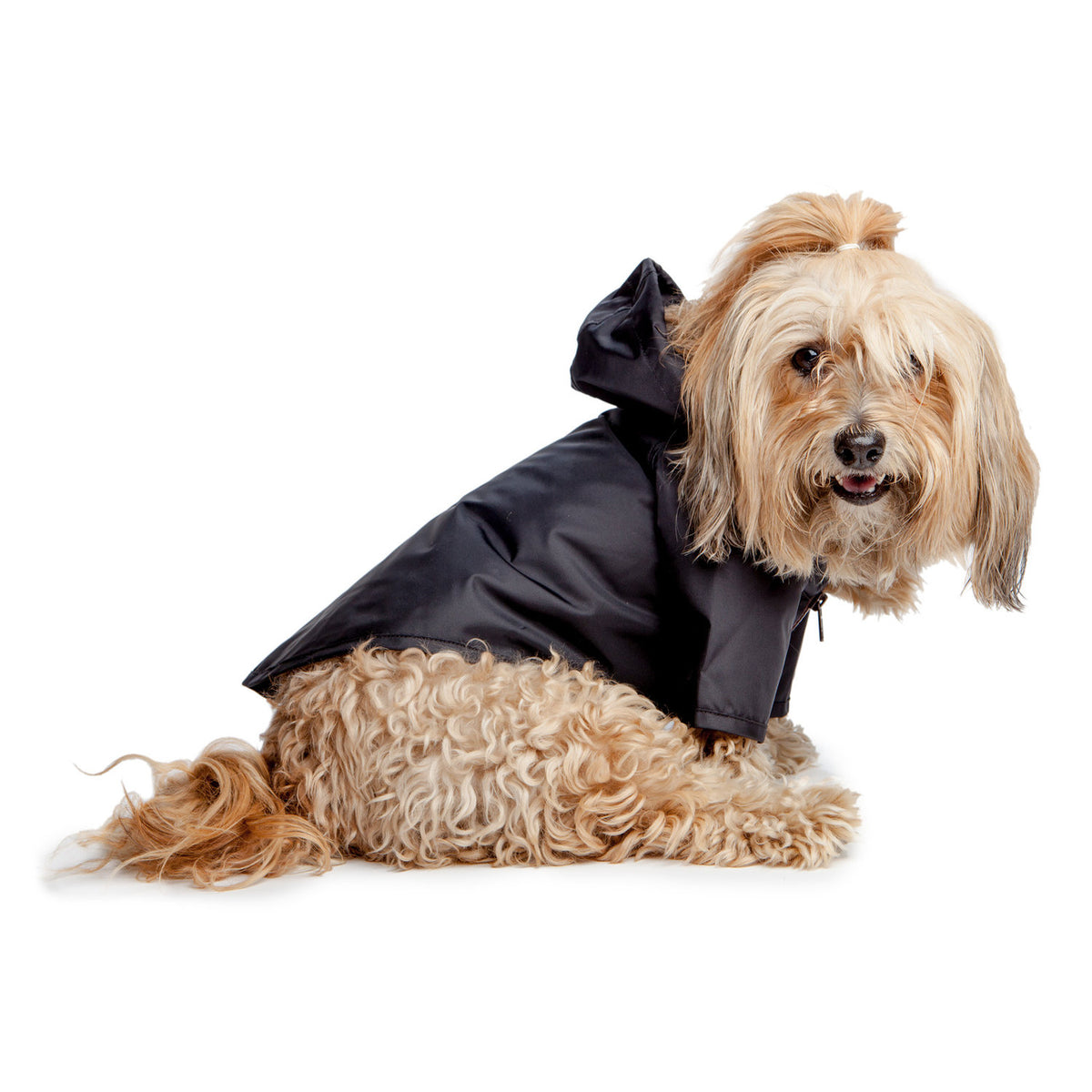 Wagwear raincoat 2025