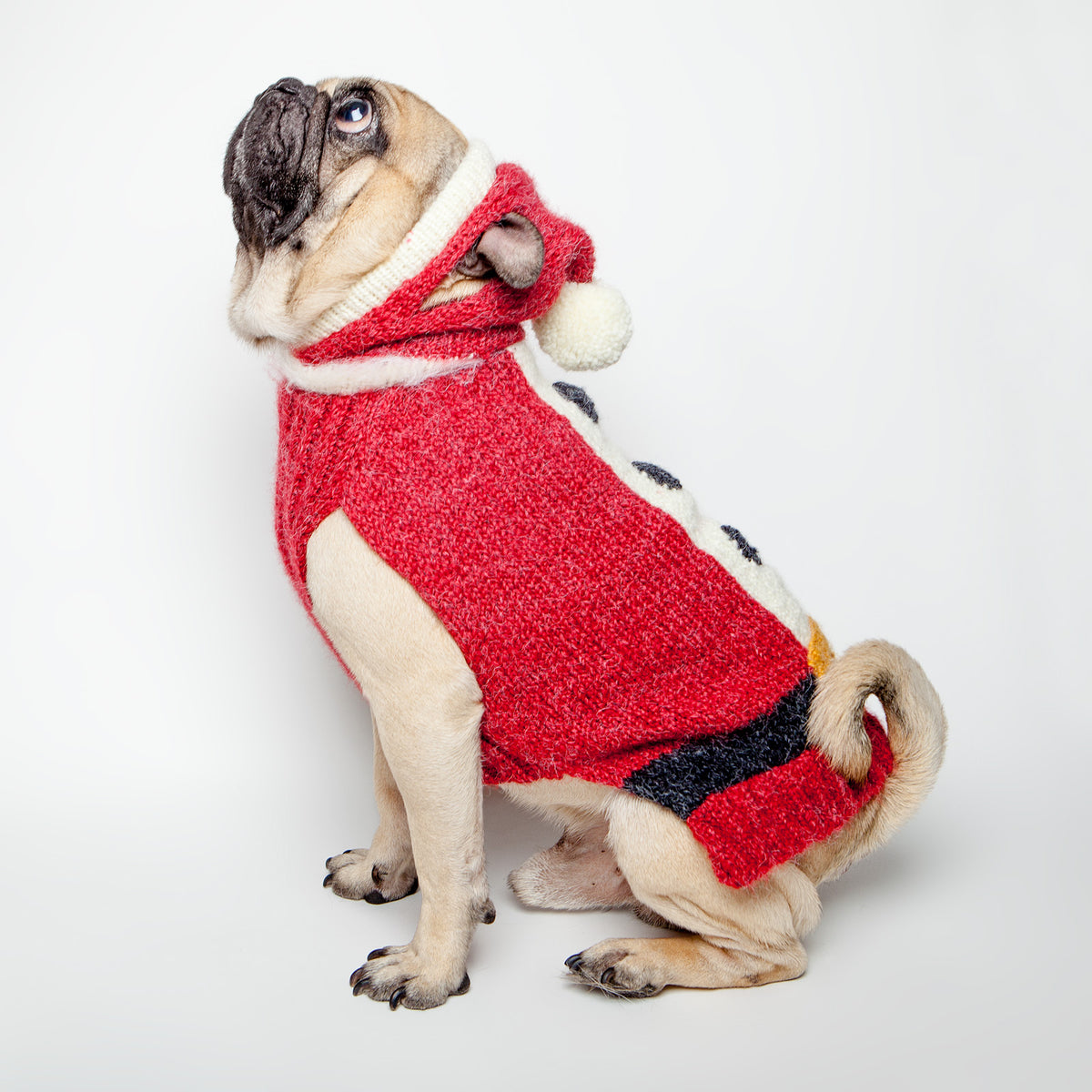 Gucci dog sweater, pug christmas sweater