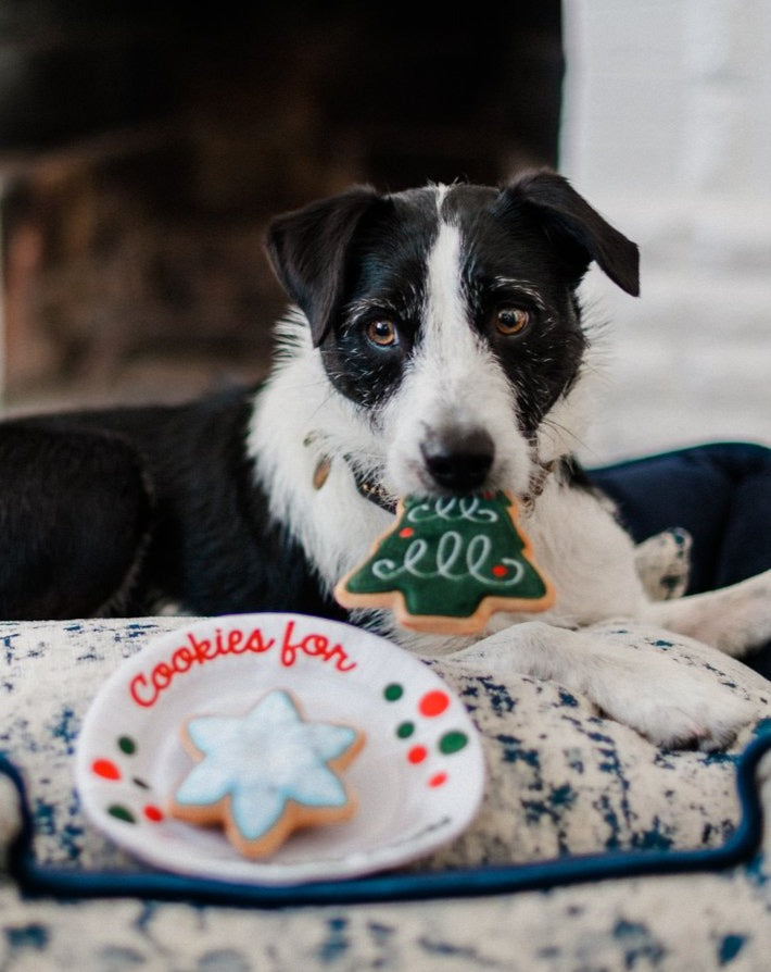 Cookie Snuffle Toy