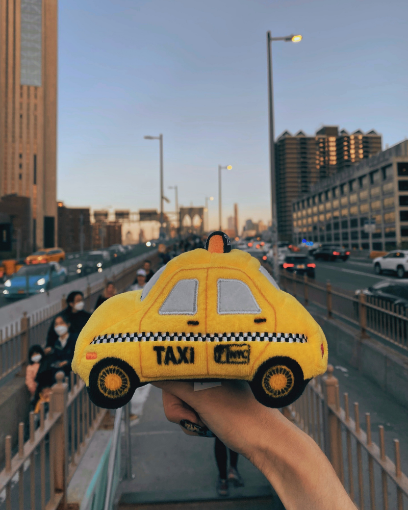 P.L.A.Y. Canine Commute Taxi Dog Toy