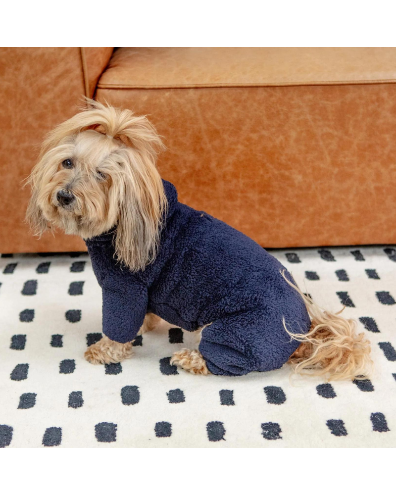 DENTISTS APPOINTMENT | Boa Fleece in Navy (Dog & Co. Exclusive